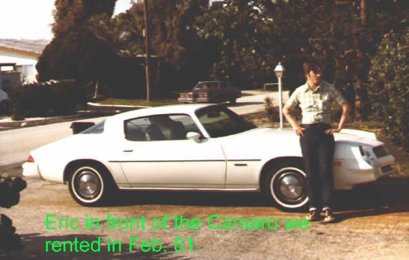 1981